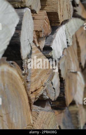 Close-up stack of chopped wood intended to be burned, typically for heat. Typical wooden texture with the age rings are visible on the cut surface. Stock Photo