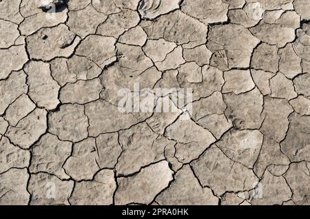 Dried and cracked mud Stock Photo