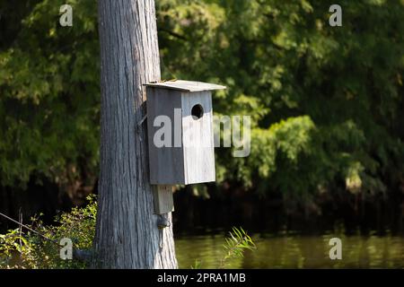 Wood Duck Nesting Box Stock Photo