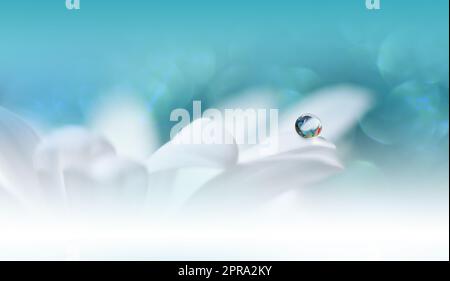 Beautiful Macro Shot of Magic Flowers.Border Art Design.Magic Light.Extreme Close up Photography.Conceptual Abstract Image.White and Blue Background.Fantasy Art.Creative Wallpaper.Beautiful Nature Background.Amazing Spring Flower.Water Drop.Copy Space. Stock Photo