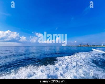 Boat trip Cancun Mexico to Island Mujeres Contoy Whale shark. Stock Photo