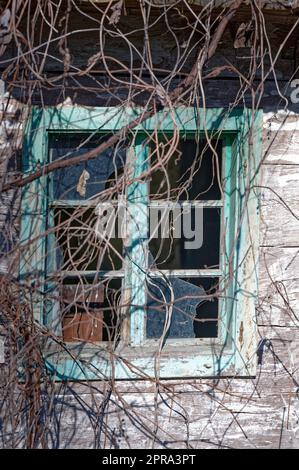 Detail of old broken windows Stock Photo