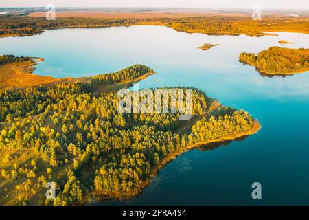 Braslaw District, Vitebsk Voblast, Belarus. Aerial View Of Ikazn Lake, Green Forest Landscape. Top View Of Beautiful European Nature From High Attitude. Bird's Eye View. Famous Lakes Stock Photo