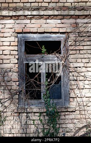 Detail of old window without glass on brick wall Stock Photo