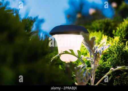 Night View Of Flowerbed Illuminated By Energy-Saving Solar Powered Lantern On Courtyard. Beautiful Small Garden Light, Lamp In Flower Bed. Garden Design Stock Photo