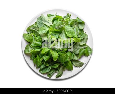 Fresh mint leaves on a plate Stock Photo