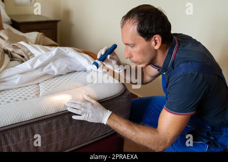 Bed Bug Infestation And Treatment Service. Bugs Extermination Stock ...
