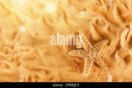 Background of isolated starfish on the golden beach Stock Photo