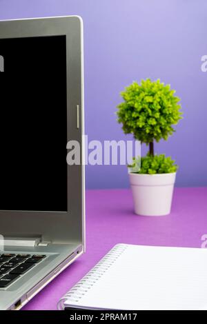 Lap Top With Important Informations On Table With Plant And Cup Of Coffee. Crutial Announcements Presented On Computer Screen On Desk With Flower And Mug. Stock Photo