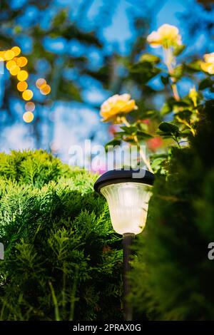 Night View Of Flowerbed Illuminated By Energy-Saving Solar Powered Lantern On Courtyard. Beautiful Small Garden Light, Lamp In Flower Bed. Garden Design Stock Photo