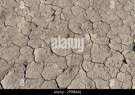 Dried and cracked mud Stock Photo