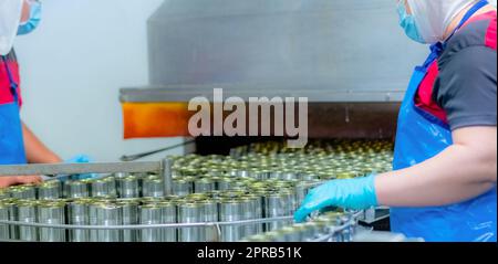 Canned fish factory. Food industry.  Food processing production line. Food manufacturing industry. Many can of sardines on a conveyor belt. Workers working in food processing factory. Cans industry. Stock Photo