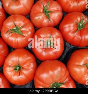 Tomaten (Solanum lycopersicum) im Gemüsegeschäft Stock Photo