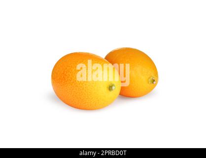 Fresh ripe kumquats on white background. Exotic fruit Stock Photo