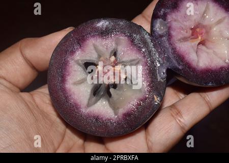 Chrysophyllum cainito or star apple or caimite fruit. Stock Photo