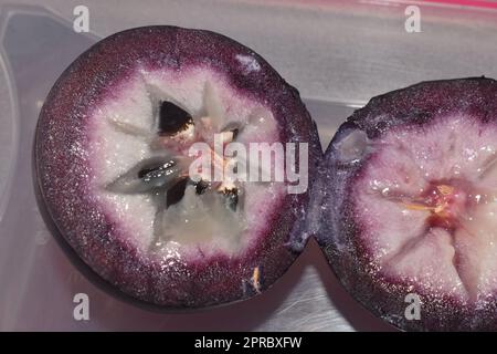 Chrysophyllum cainito or star apple or caimite fruit. Stock Photo