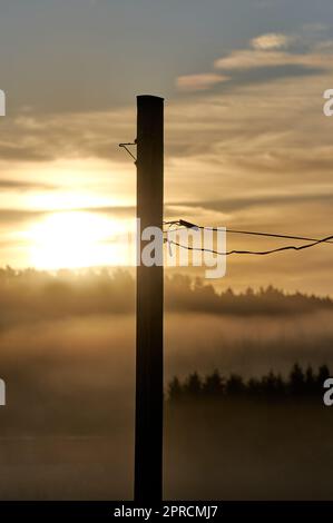 An old telephone wire post in backlight with the sun rising over a misty forest in the background Stock Photo