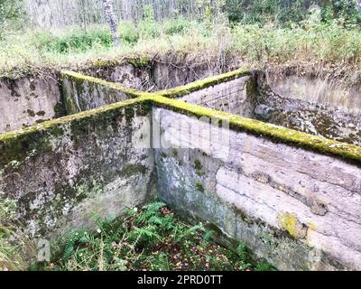 Old concrete cement cement unfinished underground foundation of a ruined building overgrown with green moss. Stock Photo
