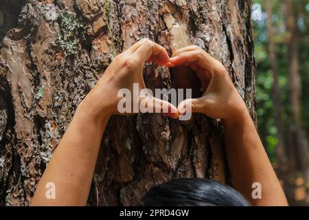 Close-up of a woman's hand making a heart shape on a tree trunk. Female environmentalist making heart shape fingers on pine tree trunk. Love and prote Stock Photo