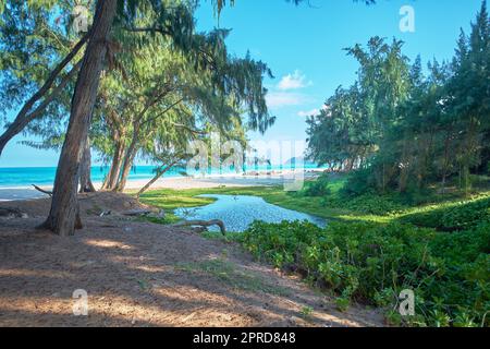 Bellows Field Beach Park - Oahu, Hawaii. A photo of the famous Hawaiian beach - Bellow Field Beach Park, Close to Waimanalo, the island Oahu, Hawaii. Stock Photo