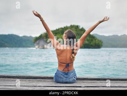 In the end, we only regret vacations not taken. Rearview shot of an unrecognizable woman sitting with her arms raised on a boardwalk overlooking the sea during vacation. Stock Photo