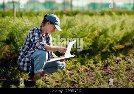 Young female farmer preparing for harvest while working on her farm field ensuring the organic soil is fresh and sustainable outside. Happy worker reading her clipboard notes to check farming land Stock Photo