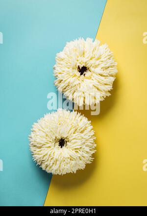 Shag donuts on blue-yellow background, copy space Stock Photo