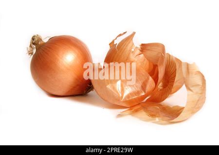 Onion and Onion Peel Isolated on White Background Stock Photo