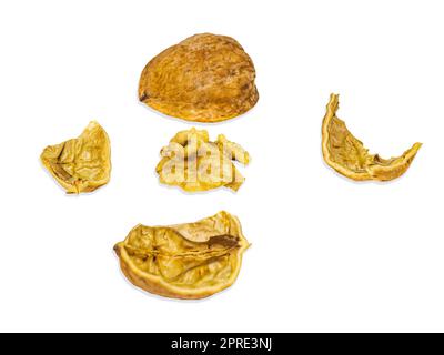 Two halves of a split walnut isolated on a white background. Stock Photo