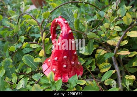 garden deco in a bed Stock Photo