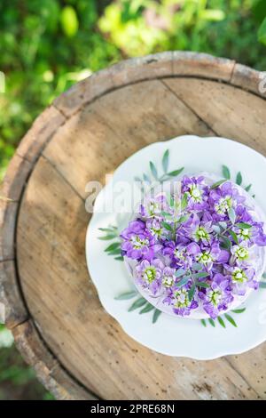 Very beautiful bento cake with purple matthiola flowers with green leaves, top view. Birthday. Stock Photo