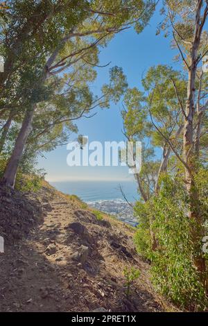 Lions Head. A photo form Lions Head, Table Mountain National Park, Cape Town, South Africa. Stock Photo