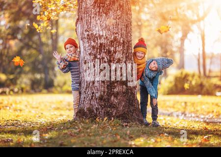 Group of children hiding behind the tree trunk Stock Photo