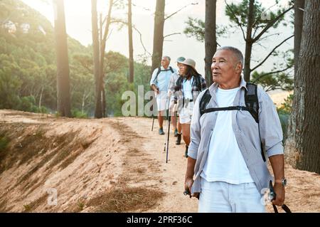 Hiking, old and adventure seeking Asian man staying active, healthy and fit in twilight years. Tourists or friends travel doing recreation exercise and explore nature on wellness getaway or retreat Stock Photo