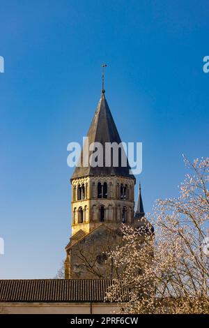 Benedictine abbey Cluny, Saone et Loire department, Bourgogne region, France Stock Photo