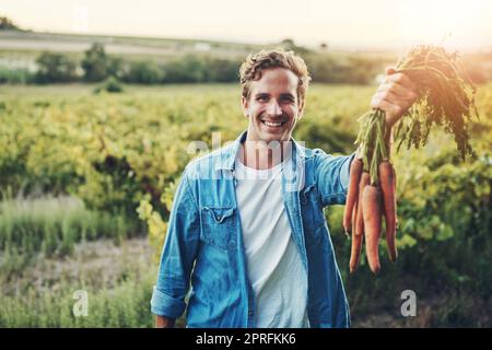 This is what my hard work has created. Cropped portrait of a handsome young man holding a bunch of carrots and smiling with his farm in the background. Stock Photo
