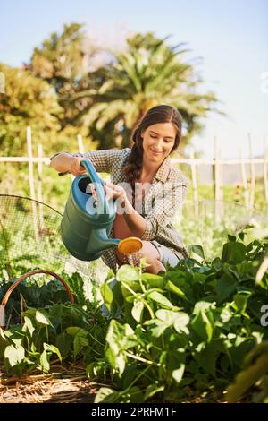 All they need is sunshine and water. a happy young farmer watering herbs with a watering can on her farm. Stock Photo