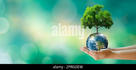 Save clean planet, Save world and environment, Ecology, World Earth Day Concept. Stock Photo