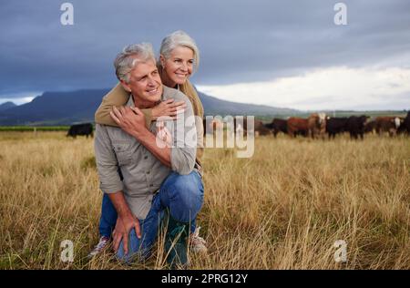 Senior farmer couple working on cow farm in countryside for meat, beef and cattle food industry on sustainability field, agriculture environment and nature land. Happy elderly people farming animals Stock Photo
