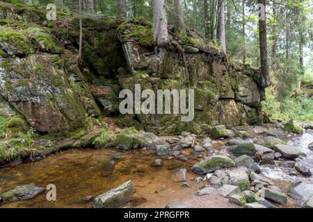 Waterfall in the Black Forest, with trees, rocks and ferns Stock Photo