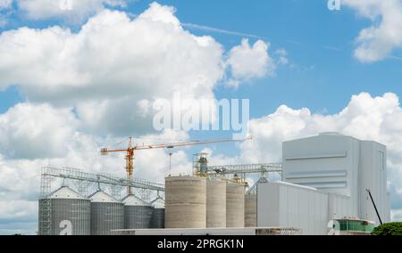 Animal feed factory construction site. Agricultural silo at feed mill factory. Tank for store grain in feed manufacturing. Seed stock tower for commercial animal feed production. Animal food industry. Stock Photo