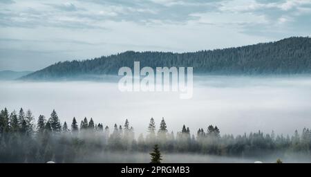 panoramic view of of mountains in misty forest. far horizon. High quality photo Stock Photo