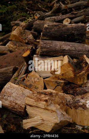 Stacked chopped wood for the winter with sun shine. Stock Photo