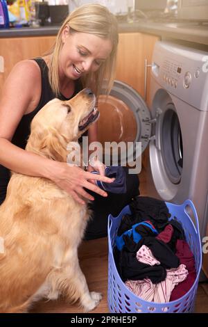 Do you want to help with the laundry. a woman doing laundry at home while her dog keeps her company. Stock Photo