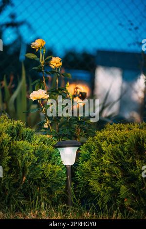 Night View Of Flowerbed Illuminated By Energy-Saving Solar Powered Lantern On Courtyard. Beautiful Small Garden Light, Lamp In Flower Bed. Garden Design Stock Photo
