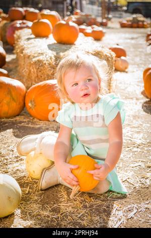 Adorable Baby Girl Having Fun in a Rustic Ranch Setting at the Pumpkin Patch. Stock Photo