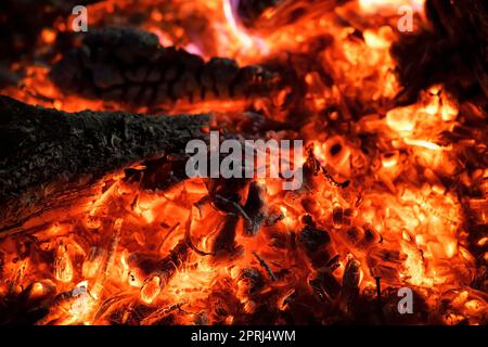 Fire Stock Photo