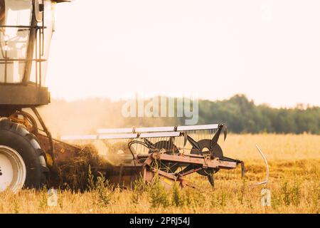 Combine Harvester Working In Field. Harvesting Of Wheat In Summer Season. Agricultural Machines Collecting Wheat Seeds Stock Photo
