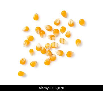 Dried corn kernels placed on a white background. Corn for popcorn. Stock Photo