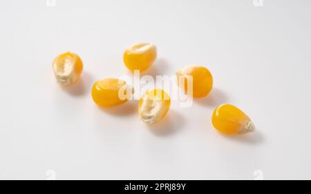 Dried corn kernels placed on white background. Stock Photo
